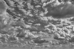 DAS-207B Los Angeles Skyline Cloudscape 24x24