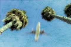 DAS-220 Motion Blur Jet Btween Palms Scratch Texture 36x24