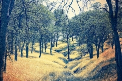 DAS-230 Tinted Rural Landscape 2 24x36