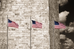DAS-243 Washington Monument and Flags 22x16