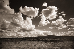 DAS-250 New Mexico Landscape on Vintage Film 30x38