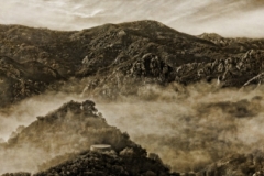 DAS-263B Mountain Mist Sepia 71x24