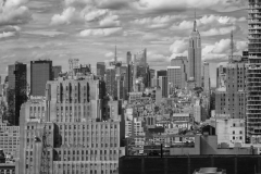 DAS-270B Black and White New York 26x18