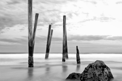 DAS-305 Seaside Landscape 20x20