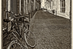 DAS-330 Bicycle on Bordeaux Cobblestone Street 11x14