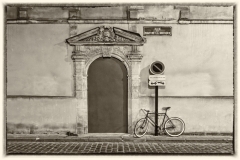 DAS-331 Bicycle on Bordeaux Alley 30x20