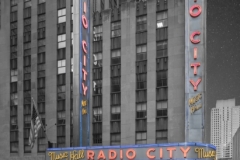 DAS-338 New York Night Street Scene 30x20